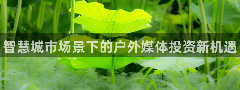 杏宇平台怎么样知乎：智慧城市场景下的户外媒体投资新机遇
