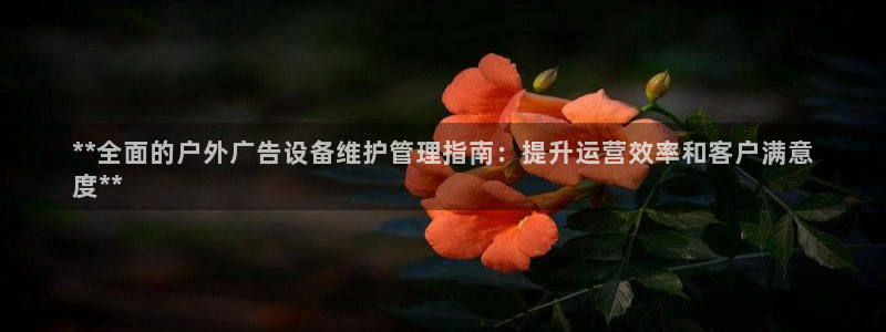 杏宇平台登录步骤图：**全面的户外广告设备维护管理指南：提升运营效率和客户满意
度**