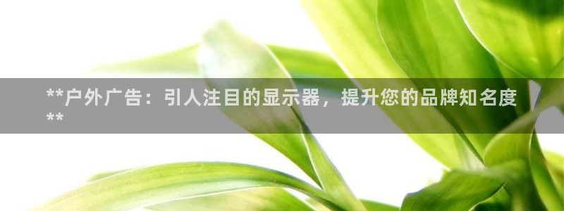 杏宇平台代理怎么赚钱的：**户外广告：引人注目的显示器，提升您的品牌知名度
**