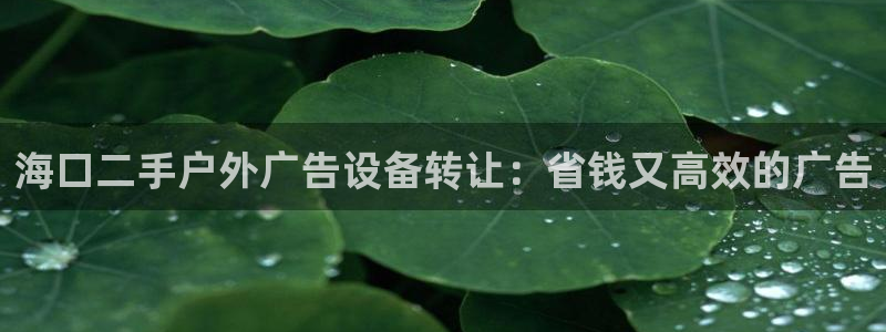 杏宇平台客服：海口二手户外广告设备转让：省钱又高效的广告
