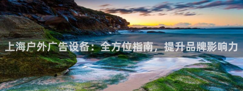 杏宇平台怎么样知乎：上海户外广告设备：全方位指南，提升品牌影响力
