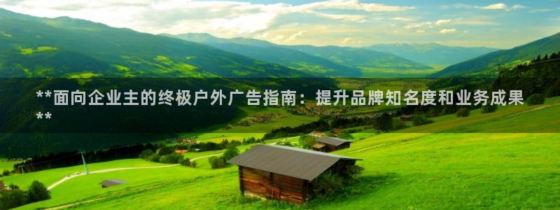 杏宇平台客服：**面向企业主的终极户外广告指南：提升品牌知名度和业务成果
**