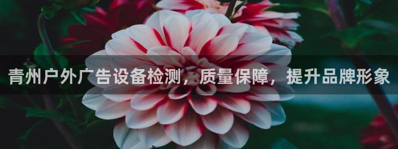 杏宇官方平台官网入口：青州户外广告设备检测，质量保障，提升品牌形象