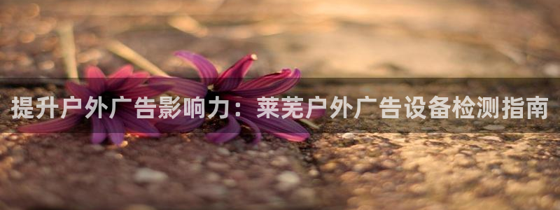 杏宇平台怎么样知乎