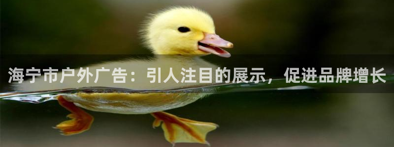 杏宇平台招商怎么样：海宁市户外广告：引人注目的展示，促进品牌增长