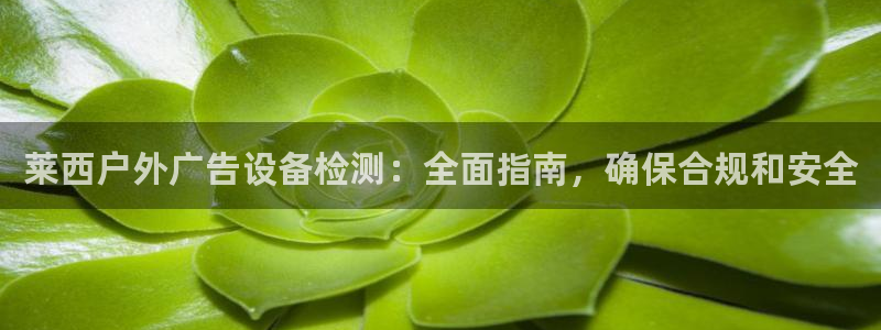 杏宇平台招商电话号码：莱西户外广告设备检测：全面指南，确保合规和安全