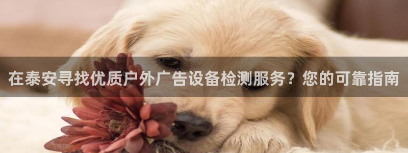 杏宇平台注册地址在哪里：在泰安寻找优质户外广告设备检测服务？您的可靠指南