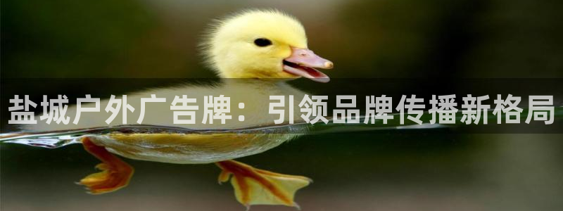杏宇平台代理怎么赚钱：盐城户外广告牌：引领品牌传播新格局