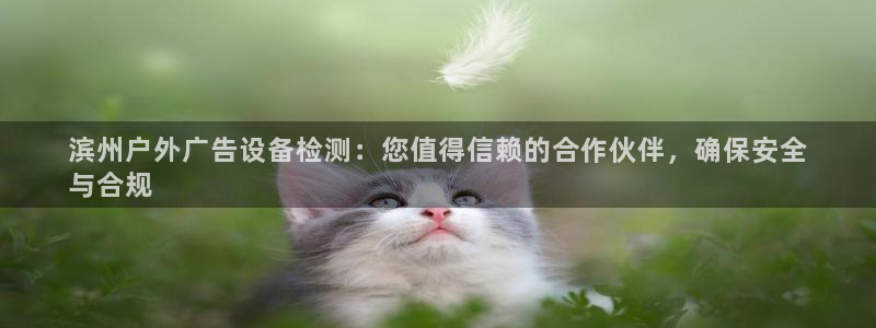 杏宇平台怎么样