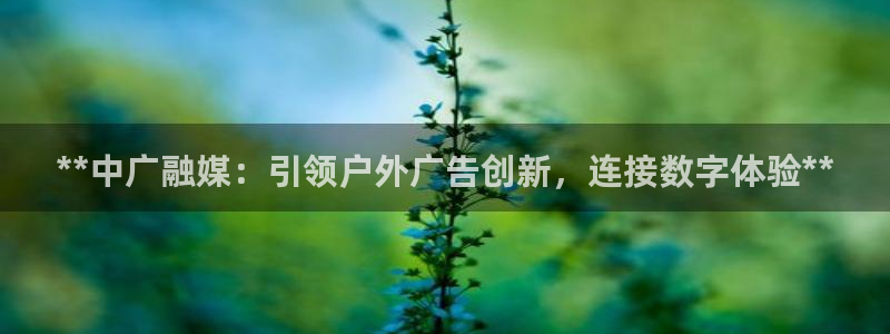 杏宇官方平台官网：**中广融媒：引领户外广告创新，连接数字体验**