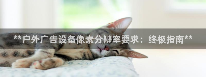 杏宇平台招商电话号码：**户外广告设备像素分辨率要求：终极指南**