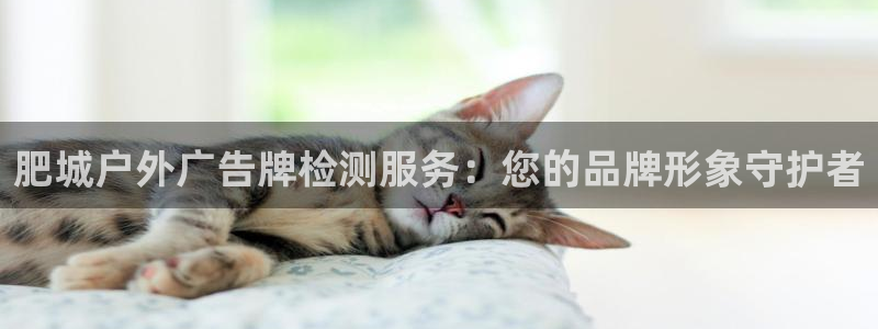 杏宇平台总代理是谁：肥城户外广告牌检测服务：您的品牌形象守护者