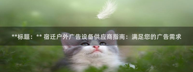 杏宇平台主管：**标题：** 宿迁户外广告设备供应商指南：满足您的广告需求