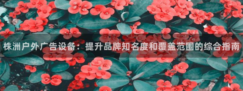 杏宇平台总代理电话：株洲户外广告设备：提升品牌知名度和覆盖范围的综合指南