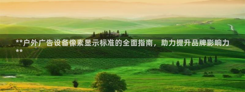 杏宇平台代理多少钱一个月：**户外广告设备像素显示标准的全面指南，助力提升品牌影响力
**