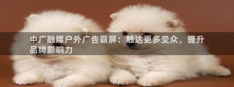 杏宇平台登录方法：中广融媒户外广告霸屏：触达更多受众，提升
品牌影响力
