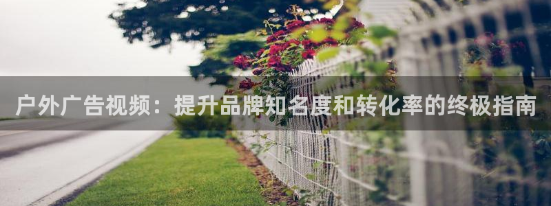 杏宇平台招商怎么样：户外广告视频：提升品牌知名度和转化率的终极指南