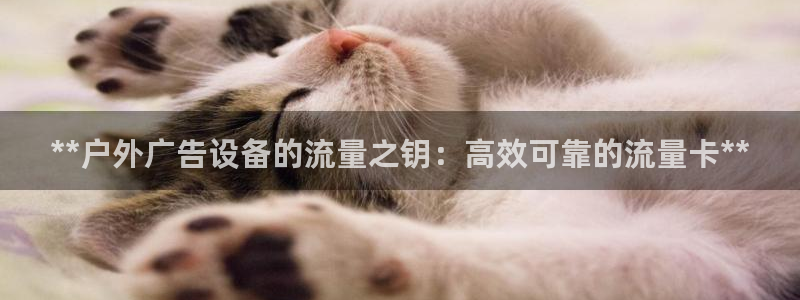 杏宇平台招商电话号码：**户外广告设备的流量之钥：高效可靠的流量卡**