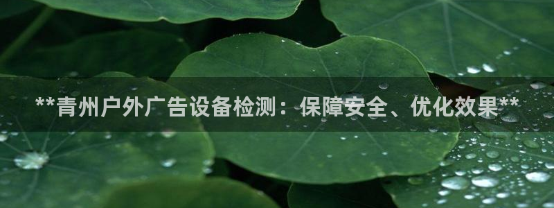 杏宇平台代理怎么样赚钱：**青州户外广告设备检测：保障安全、优化效果**
