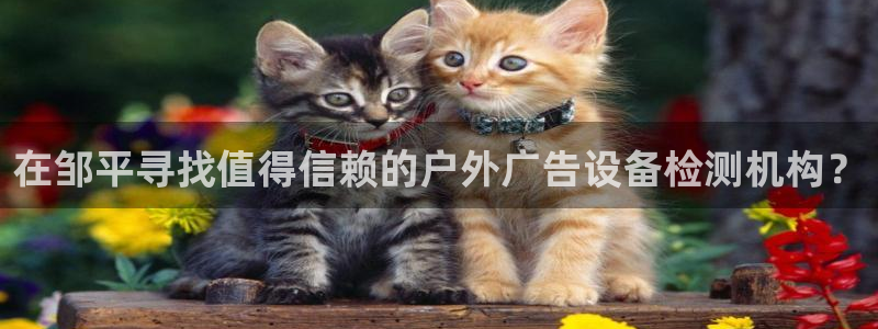 杏宇平台注册地址在哪里：在邹平寻找值得信赖的户外广告设备检测机构？