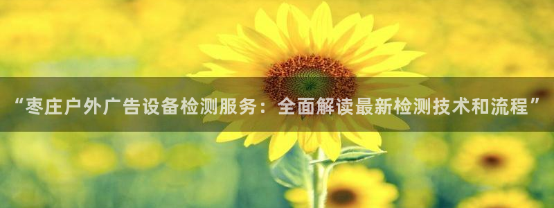 杏宇平台登陆