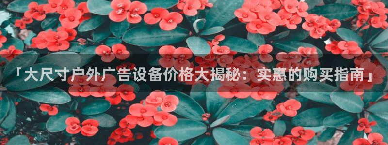 杏宇平台注册地址在哪里：「大尺寸户外广告设备价格大揭秘：实惠的购买指南」