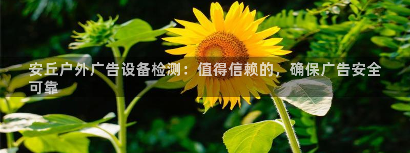 杏宇平台代理怎么样啊：安丘户外广告设备检测：值得信赖的，确保广告安全
可靠