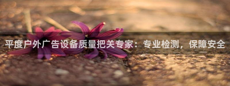 杏宇平台注册地址在哪里：平度户外广告设备质量把关专家：专业检测，保障安全