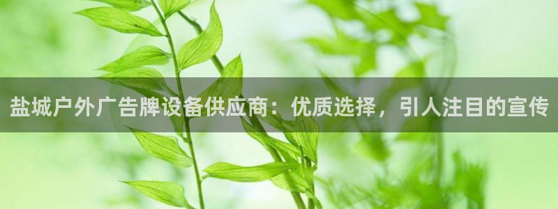 杏宇平台登录步骤图：盐城户外广告牌设备供应商：优质选择，引人注目的宣传