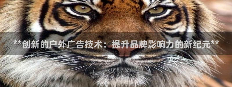 杏宇平台主管：**创新的户外广告技术：提升品牌影响力的新纪元**
