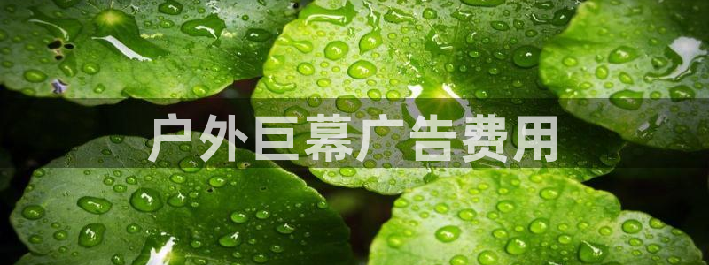 杏宇平台怎么样赚钱：户外巨幕广告费用