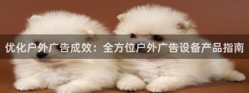 杏宇平台登陆：优化户外广告成效：全方位户外广告设备产品指南