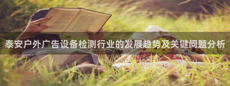 杏宇平台怎么样赚钱：泰安户外广告设备检测行业的发展趋势及关键问题分析