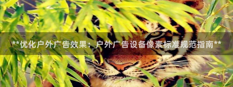 杏宇平台代理多少钱：**优化户外广告效果：户外广告设备像素标准规范指南**