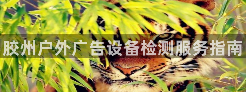 杏宇平台客服：胶州户外广告设备检测服务指南