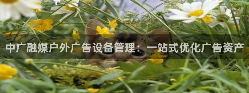 杏宇平台招商怎么样：中广融媒户外广告设备管理：一站式优化广告资产