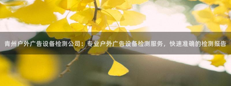 杏宇平台测速链接：青州户外广告设备检测公司：专业户外广告设备检测服务，快速准确的检测报告