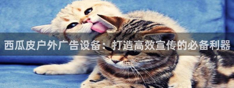 杏宇平台怎么样：西瓜皮户外广告设备：打造高效宣传的必备利器