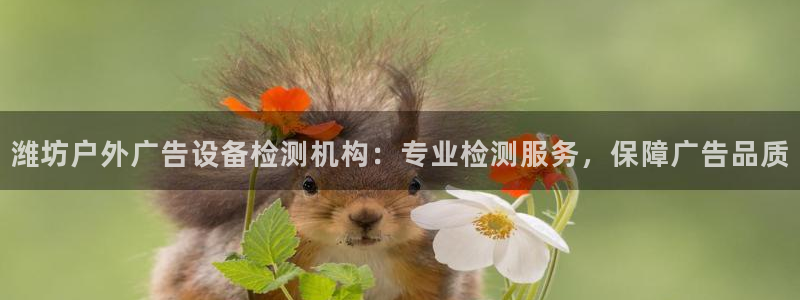 杏宇平台登录步骤是什么：潍坊户外广告设备检测机构：专业检测服务，保障广告品质