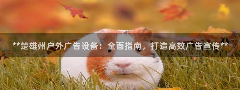 杏宇平台代理怎么赚钱快：**楚雄州户外广告设备：全面指南，打造高效广告宣传**