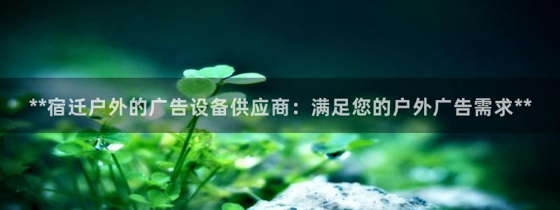 杏宇平台提现为什么这么久呢：**宿迁户外的广告设备供应商：满足您的户外广告需求**