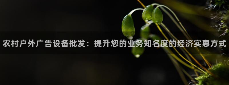 杏宇平台怎么样知乎：农村户外广告设备批发：提升您的业务知名度的经济实惠方式