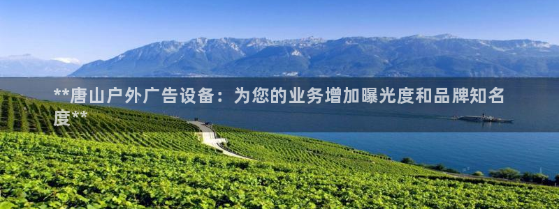 杏宇平台登陆：**唐山户外广告设备：为您的业务增加曝光度和品牌知名
度**