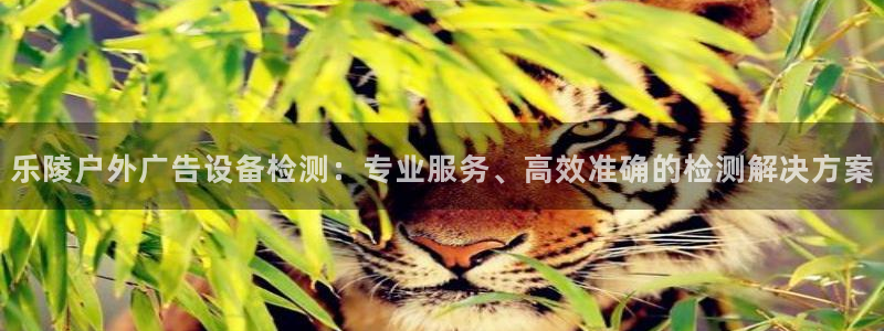 杏宇平台代理怎么赚钱