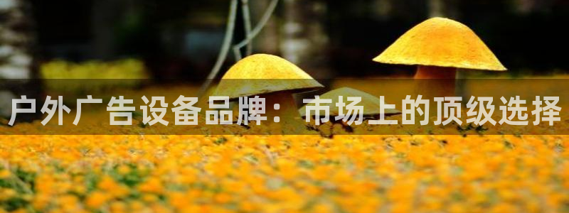 杏宇平台登录步骤：户外广告设备品牌：市场上的顶级选择
