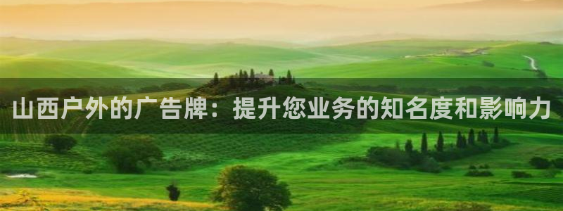 杏宇平台主管