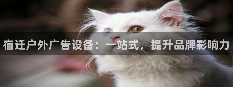 杏宇平台注册地址在哪里：宿迁户外广告设备