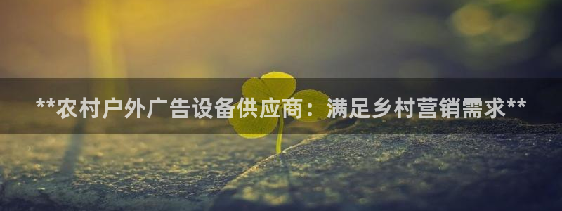 杏宇平台代理怎么赚钱：**农村户外广告设