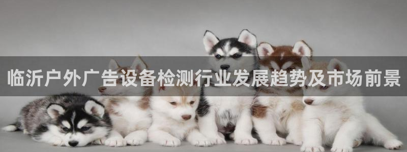 杏宇平台怎么样赚钱：临沂户外广告设备检测行业发展趋势及市场前景