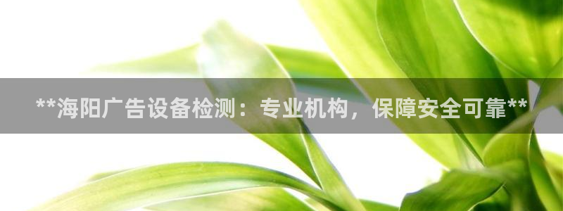 杏宇平台主管：**海阳广告设备检测：专业机构，保障安全可靠**